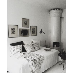 12145502_1658490241059904_371137497_n