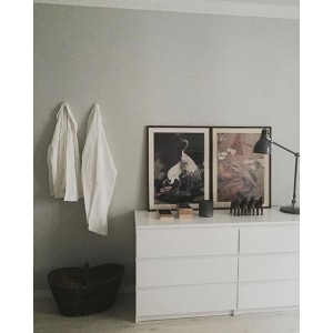 12230921_403207333205827_382109303_n