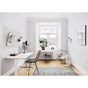 12523818_444231072438799_1350672474_n